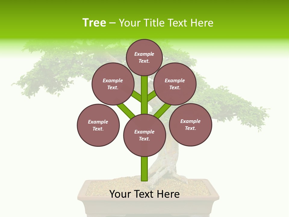 Flower Japan Plant PowerPoint Template