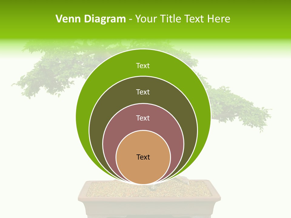Flower Japan Plant PowerPoint Template