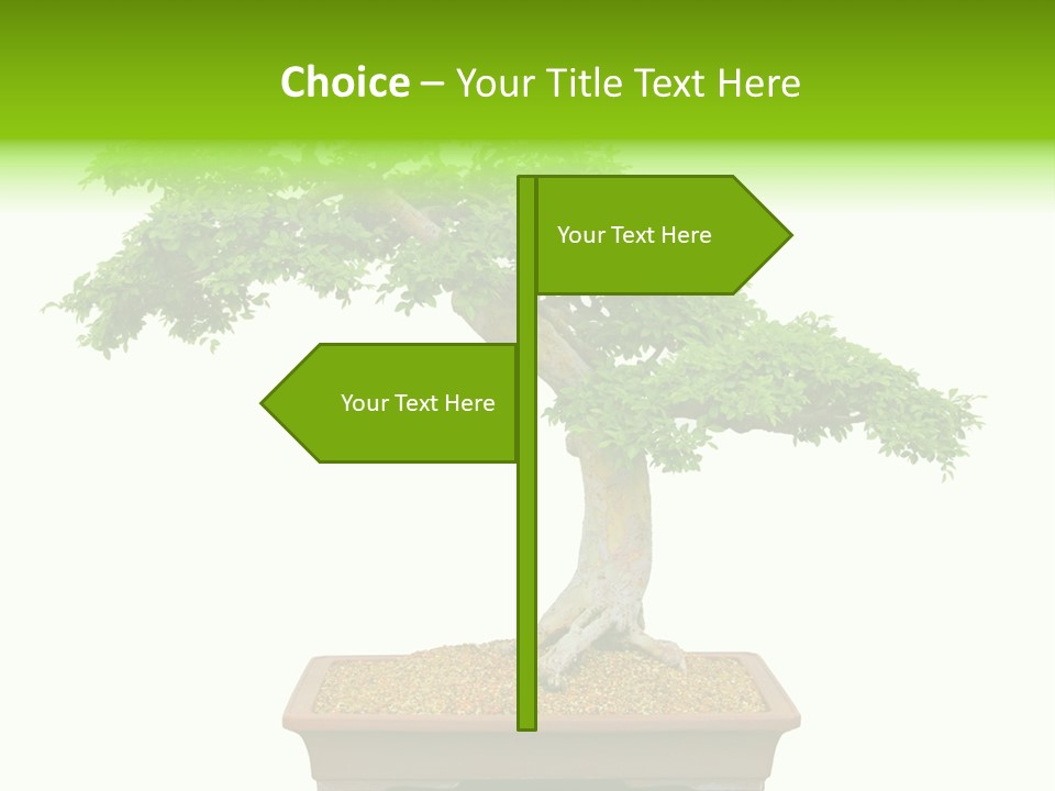 Flower Japan Plant PowerPoint Template