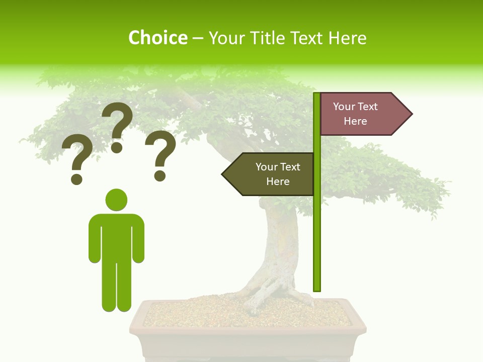 Flower Japan Plant PowerPoint Template