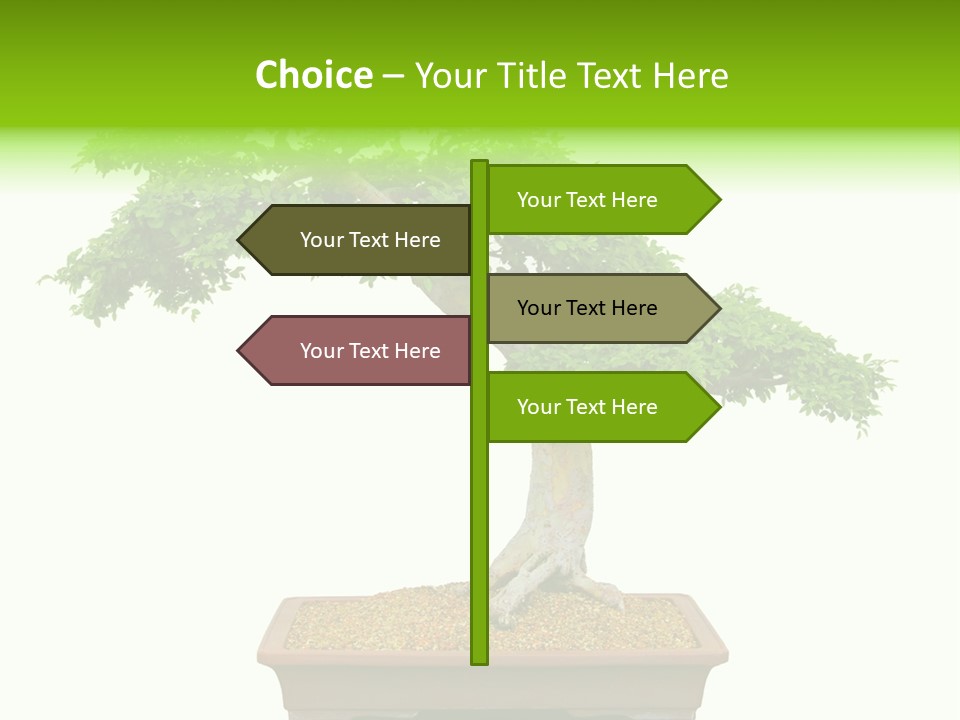 Flower Japan Plant PowerPoint Template