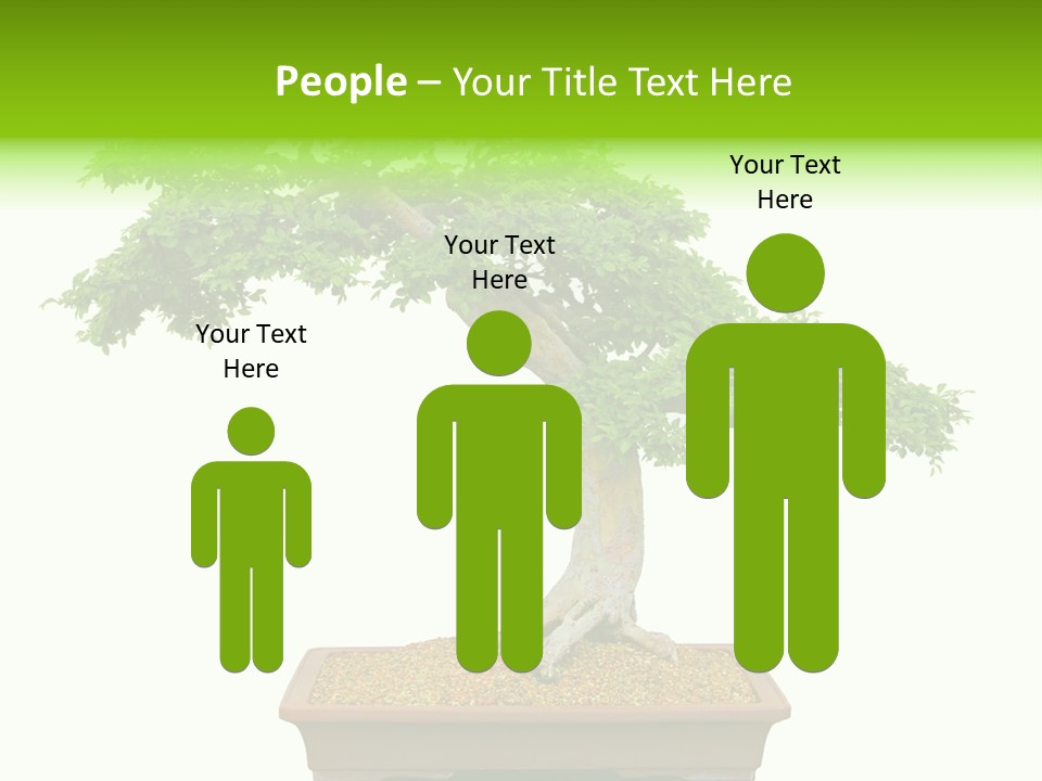 Flower Japan Plant PowerPoint Template