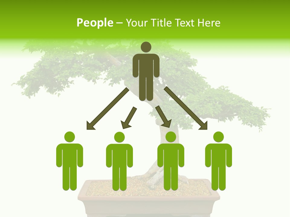 Flower Japan Plant PowerPoint Template