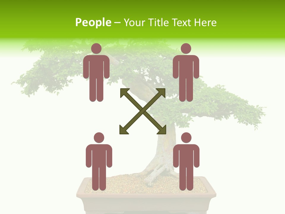 Flower Japan Plant PowerPoint Template