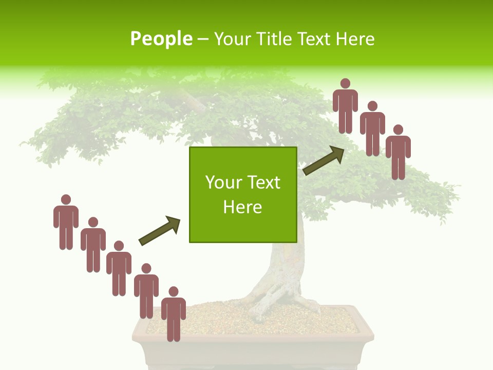 Flower Japan Plant PowerPoint Template