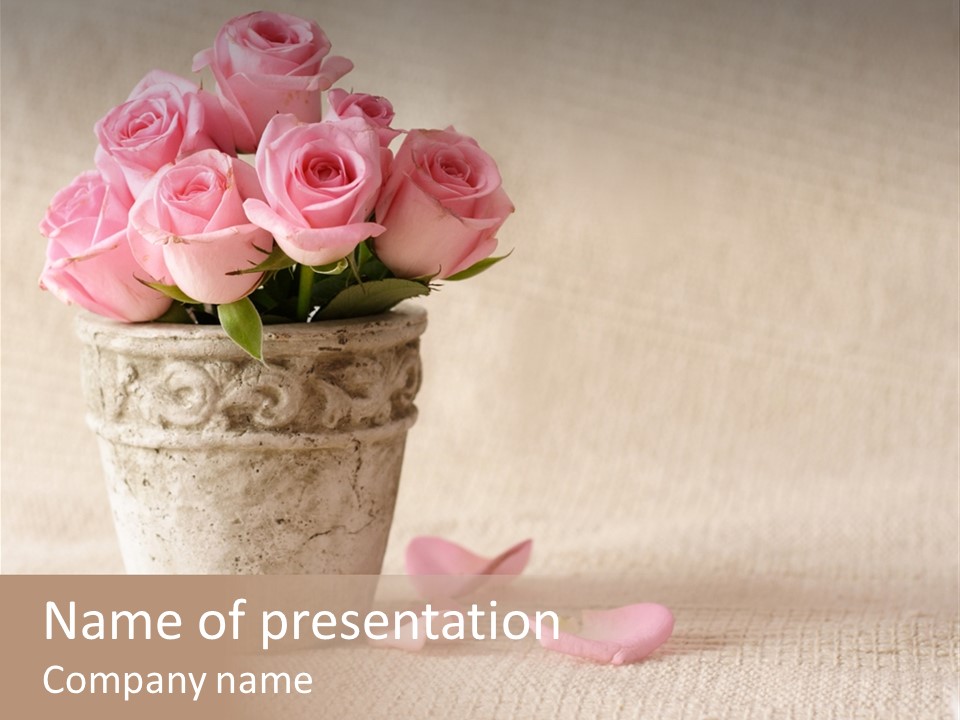 Rose Life Pink PowerPoint Template