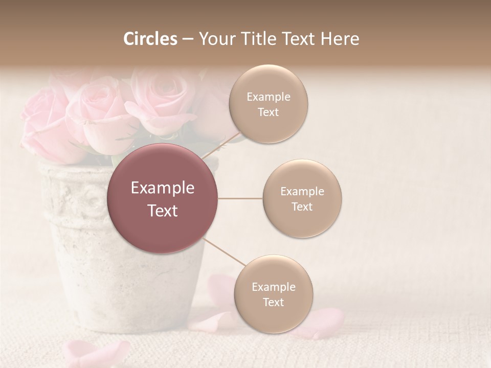 Rose Life Pink PowerPoint Template