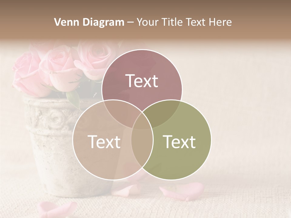 Rose Life Pink PowerPoint Template