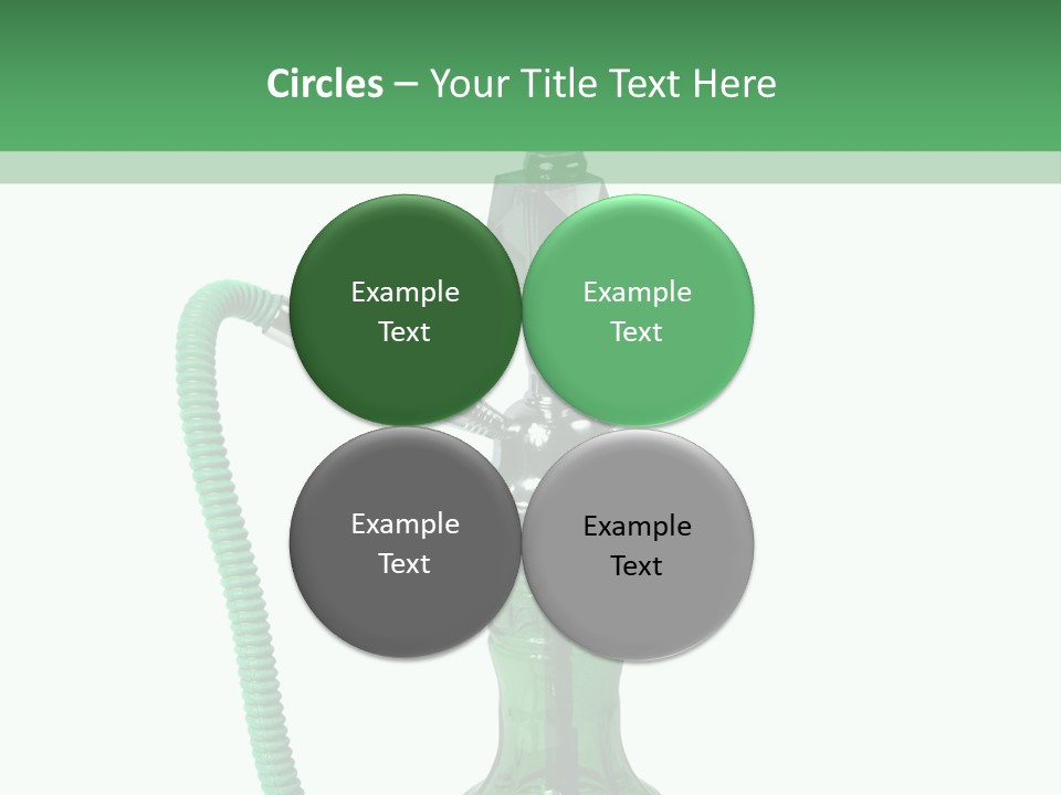 Water Macro Traditional PowerPoint Template