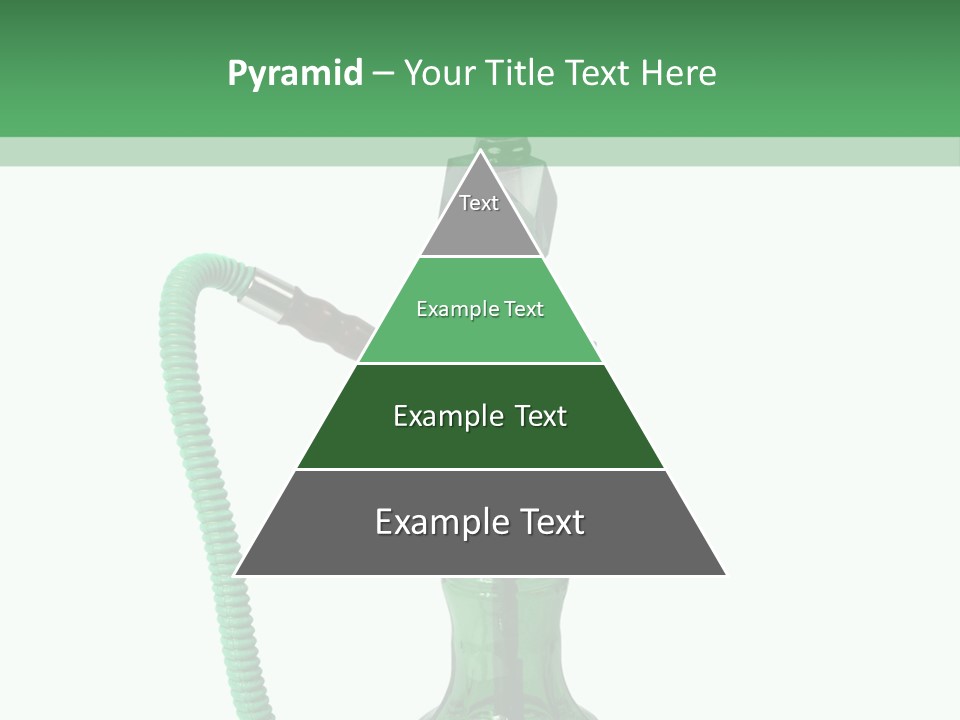 Water Macro Traditional PowerPoint Template