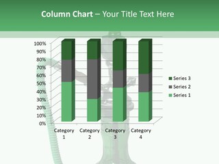 Water Macro Traditional PowerPoint Template