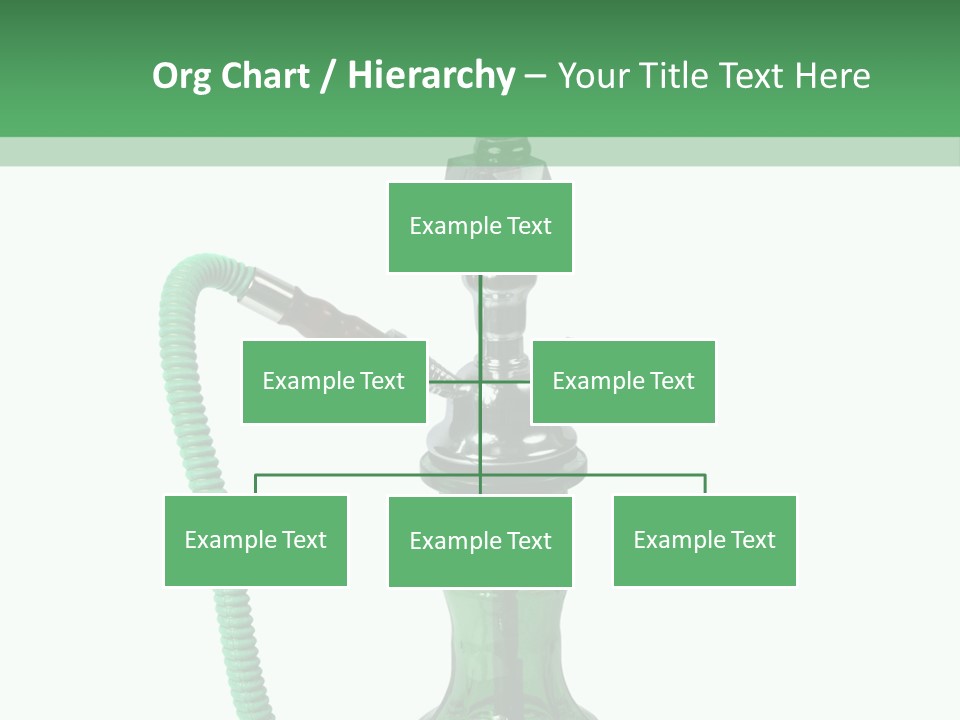 Water Macro Traditional PowerPoint Template