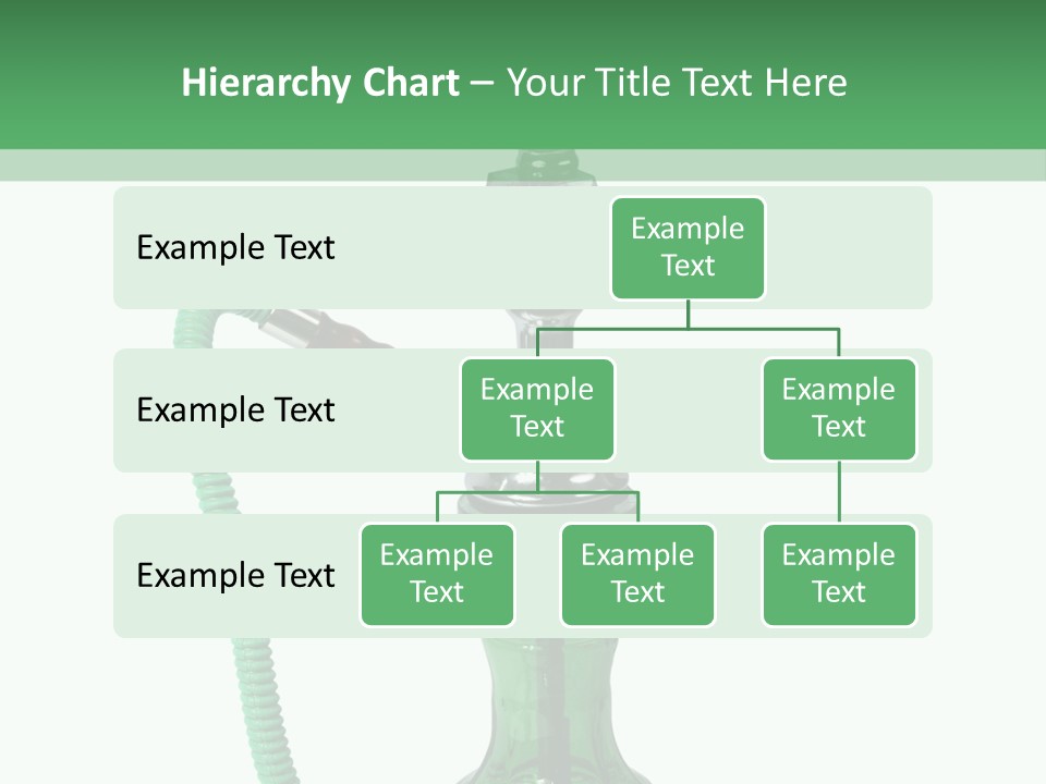 Water Macro Traditional PowerPoint Template