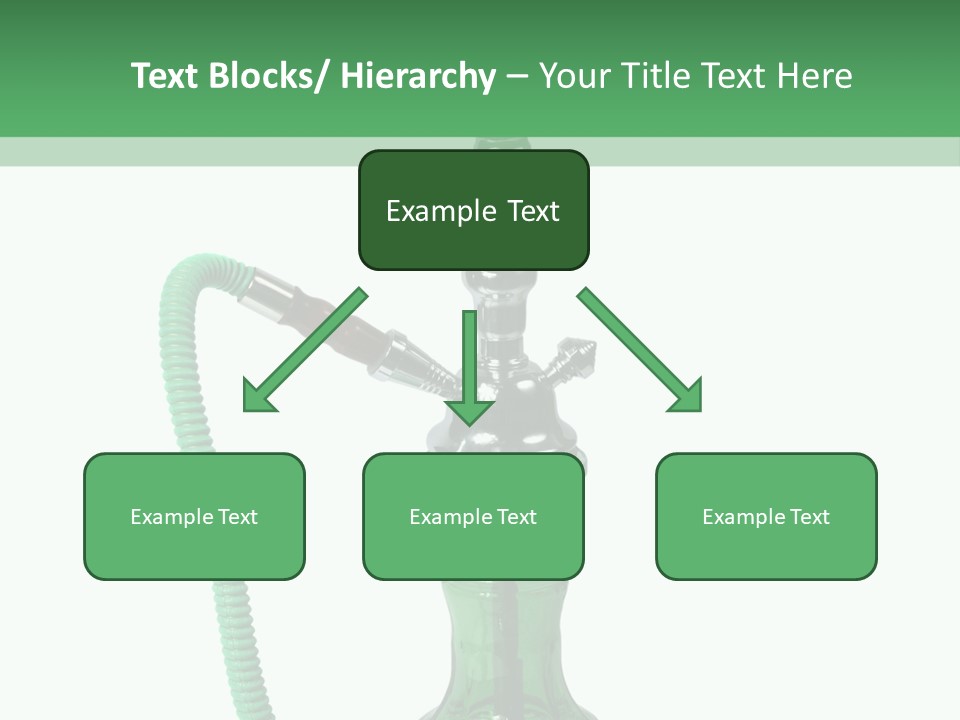 Water Macro Traditional PowerPoint Template