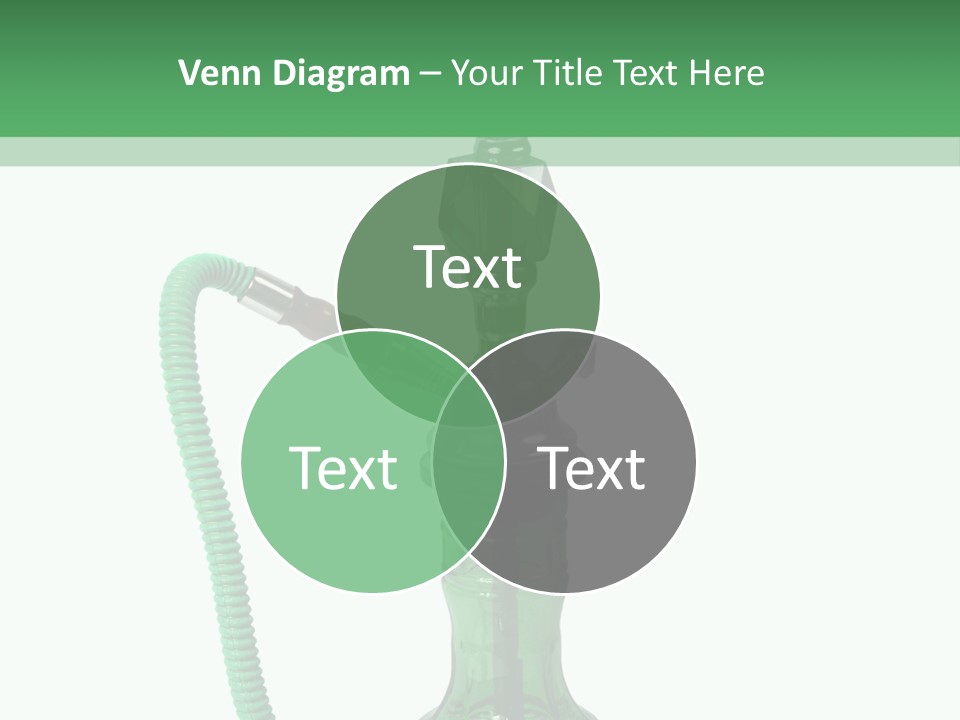 Water Macro Traditional PowerPoint Template