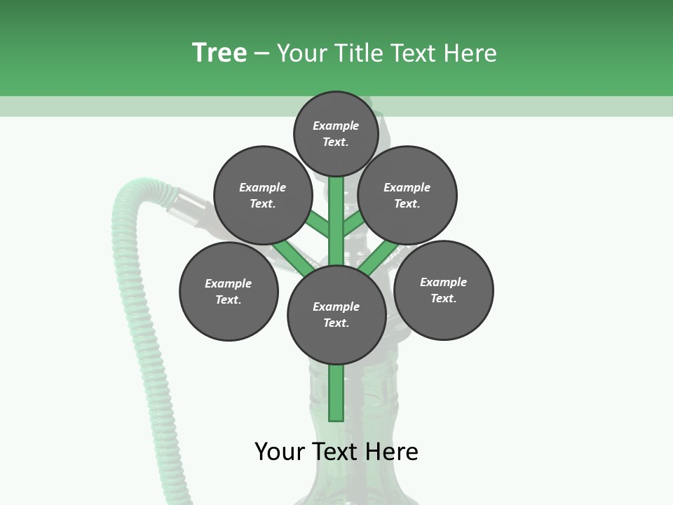 Water Macro Traditional PowerPoint Template