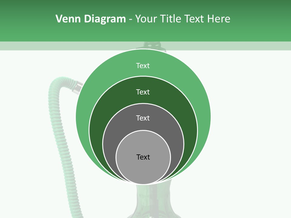 Water Macro Traditional PowerPoint Template