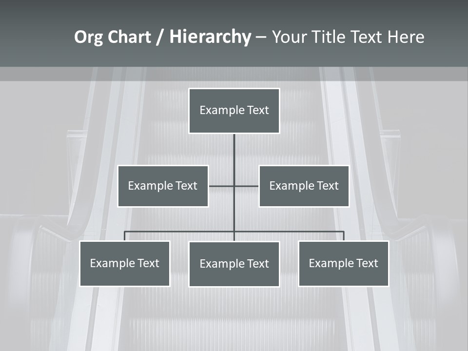 Terminal Steps Carrier PowerPoint Template