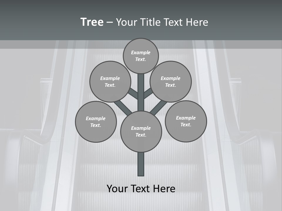 Terminal Steps Carrier PowerPoint Template