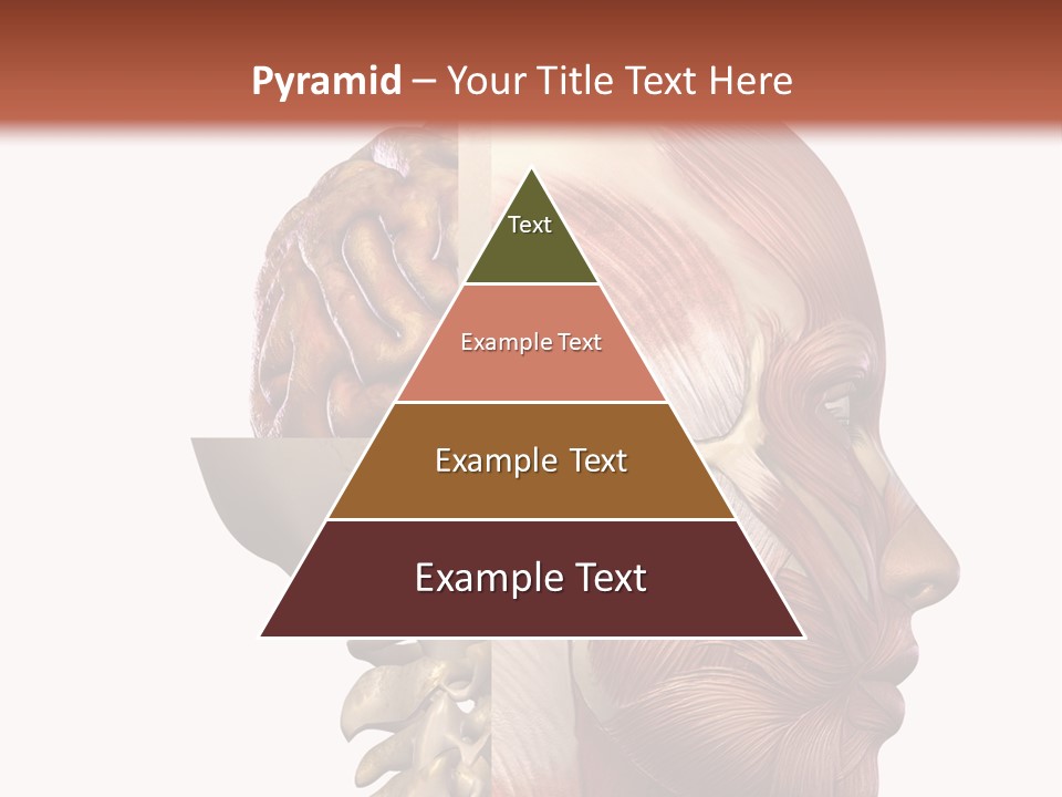 Investigation Naked Arms PowerPoint Template