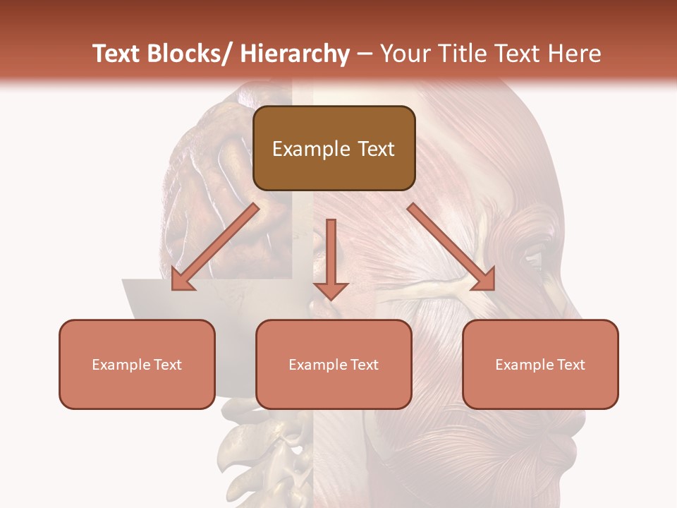 Investigation Naked Arms PowerPoint Template