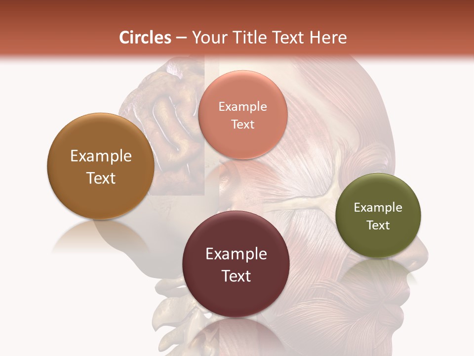 Investigation Naked Arms PowerPoint Template