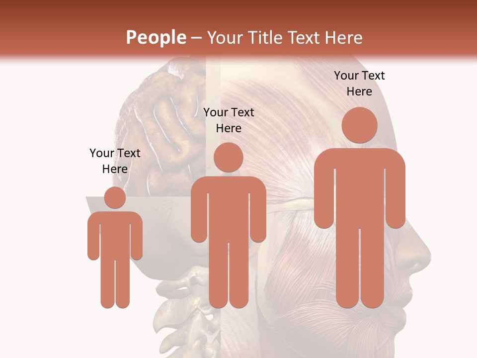 Investigation Naked Arms PowerPoint Template