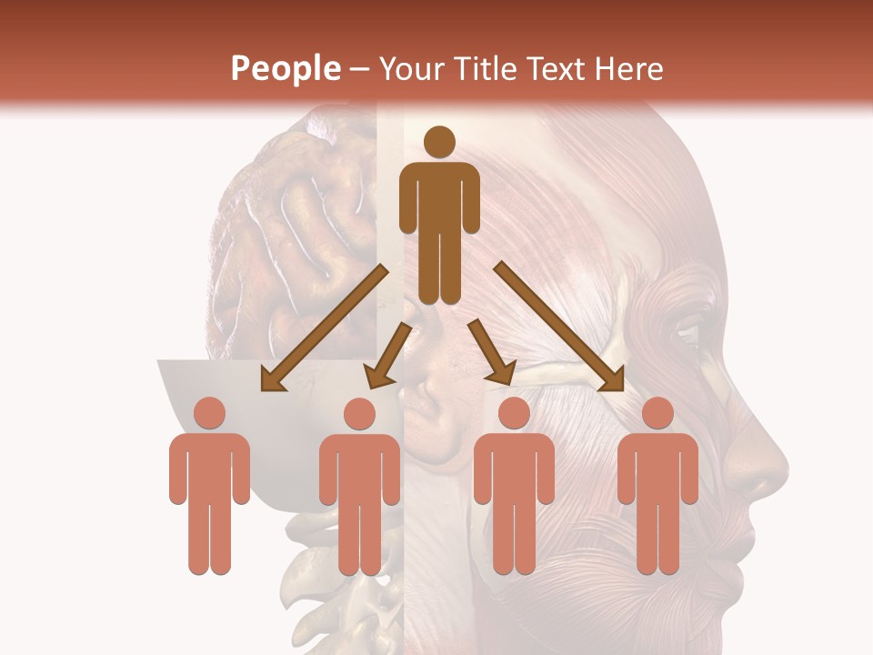 Investigation Naked Arms PowerPoint Template