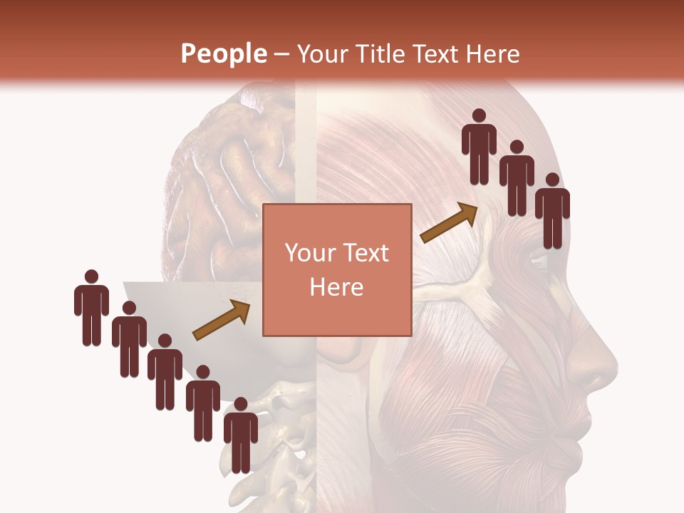 Investigation Naked Arms PowerPoint Template