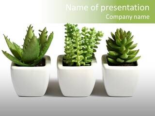 Green Family Growth PowerPoint Template