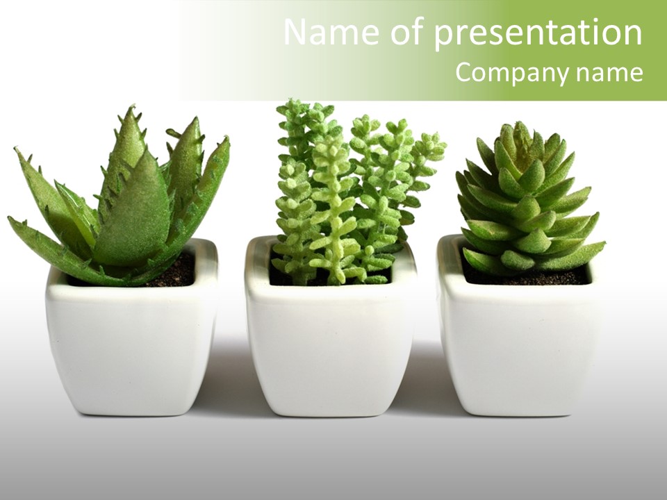 Green Family Growth PowerPoint Template