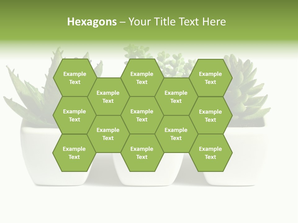 Green Family Growth PowerPoint Template