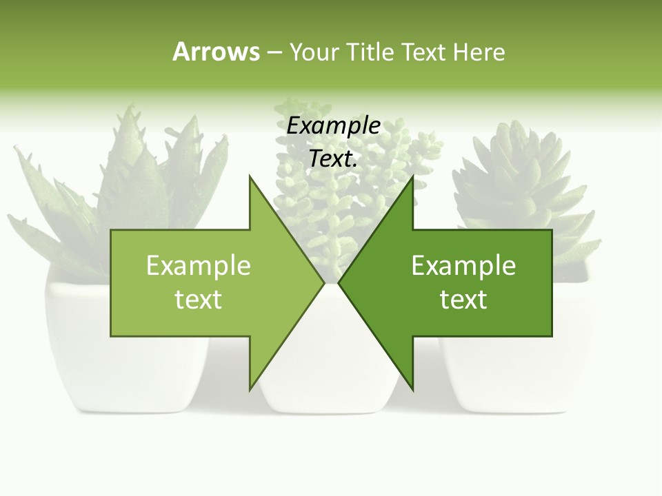 Green Family Growth PowerPoint Template