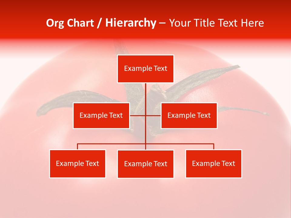 Healthy Leaf Red PowerPoint Template