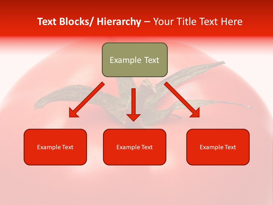 Healthy Leaf Red PowerPoint Template