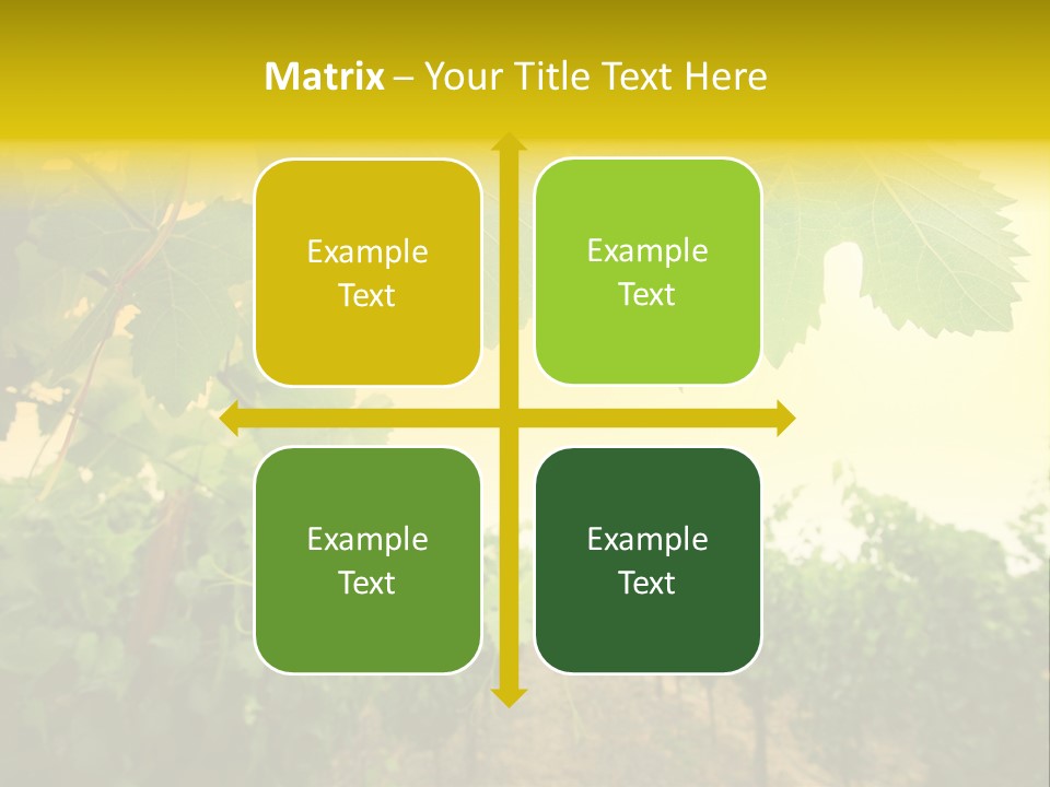 Napa Beauty Agriculture PowerPoint Template