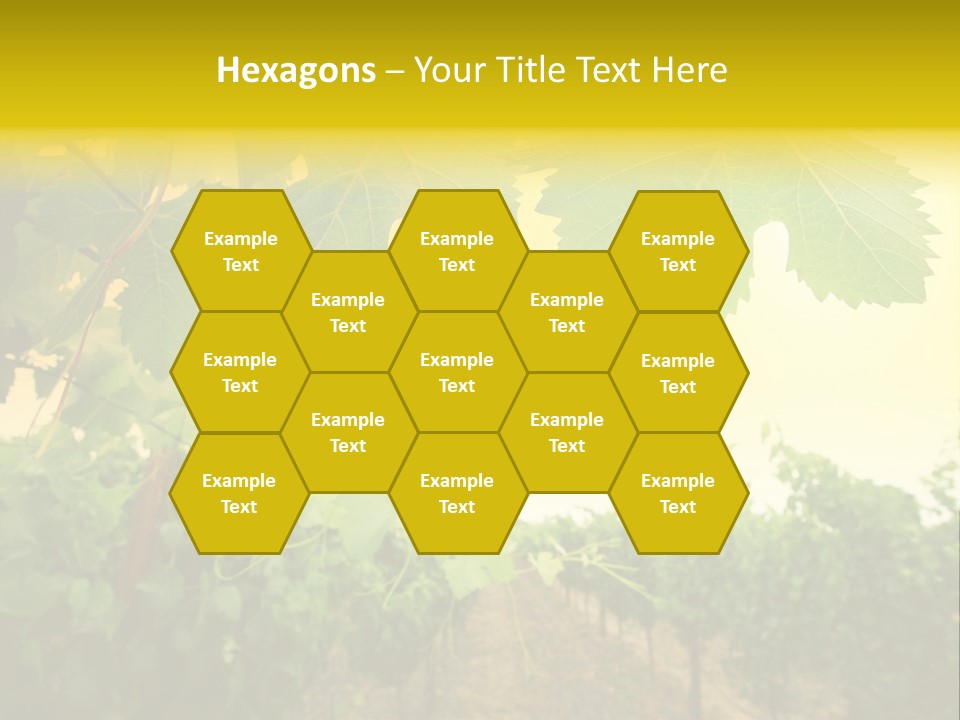 Napa Beauty Agriculture PowerPoint Template