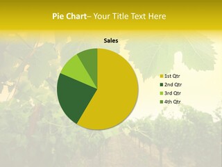 Napa Beauty Agriculture PowerPoint Template