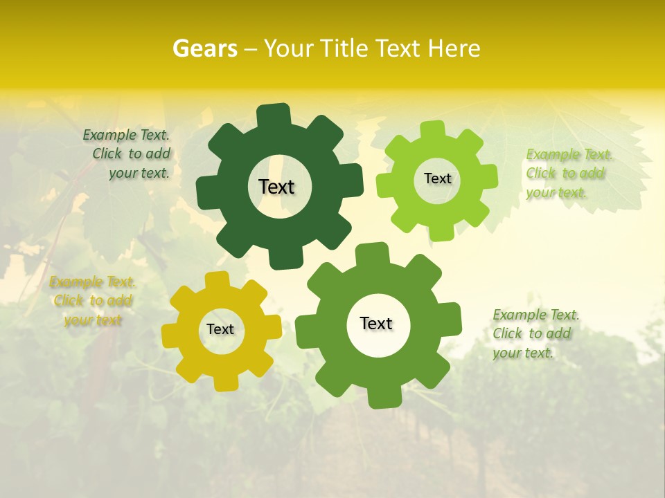 Napa Beauty Agriculture PowerPoint Template