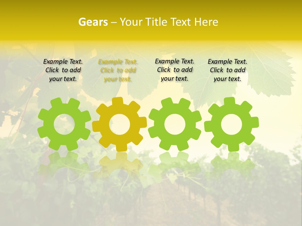 Napa Beauty Agriculture PowerPoint Template