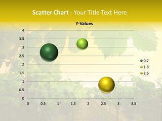 Napa Beauty Agriculture PowerPoint Template