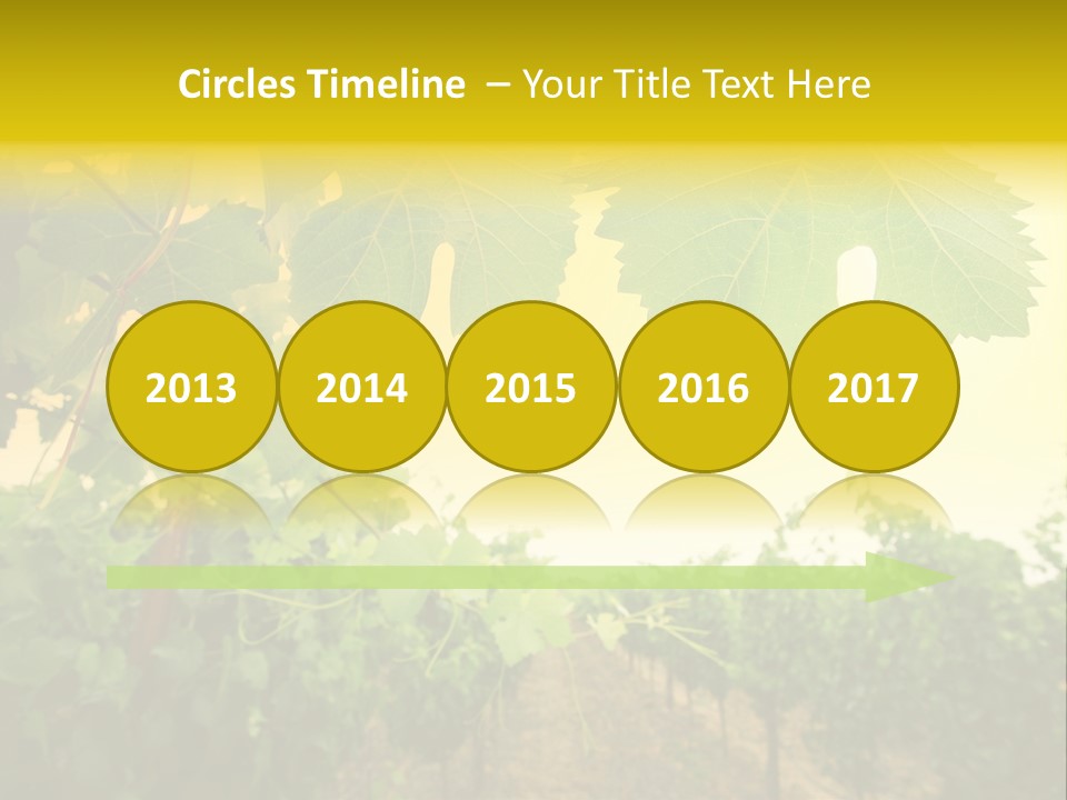 Napa Beauty Agriculture PowerPoint Template