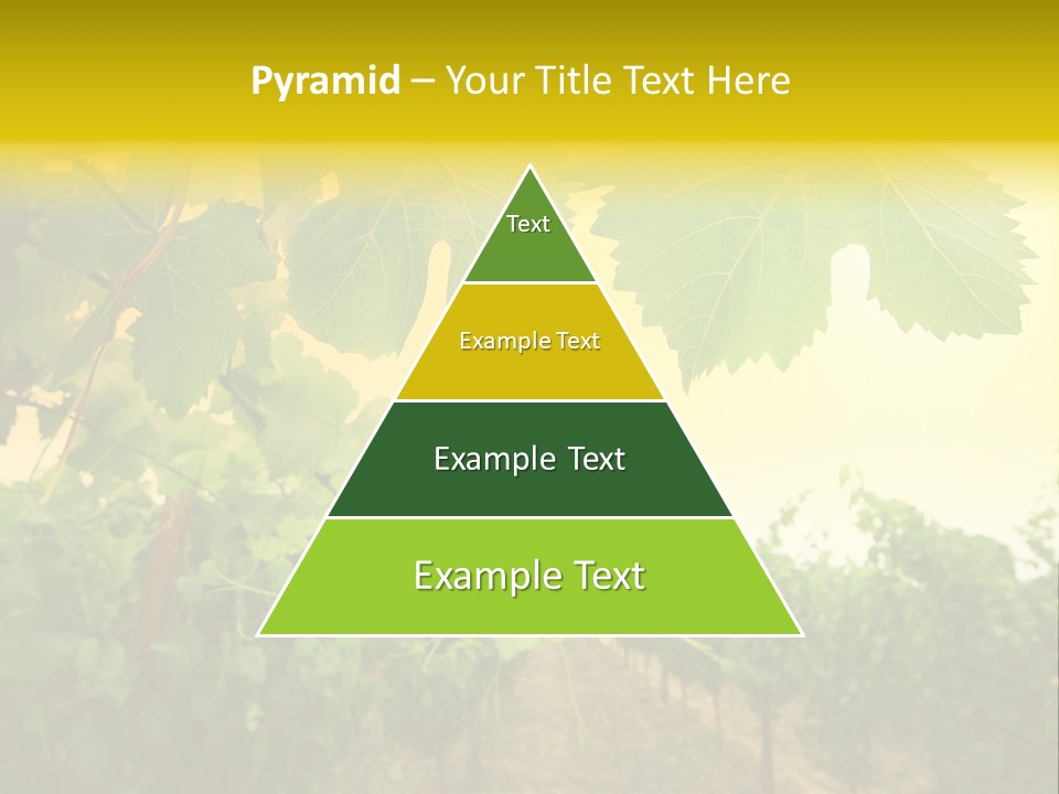 Napa Beauty Agriculture PowerPoint Template