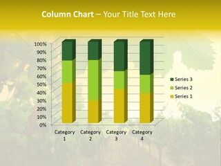 Napa Beauty Agriculture PowerPoint Template