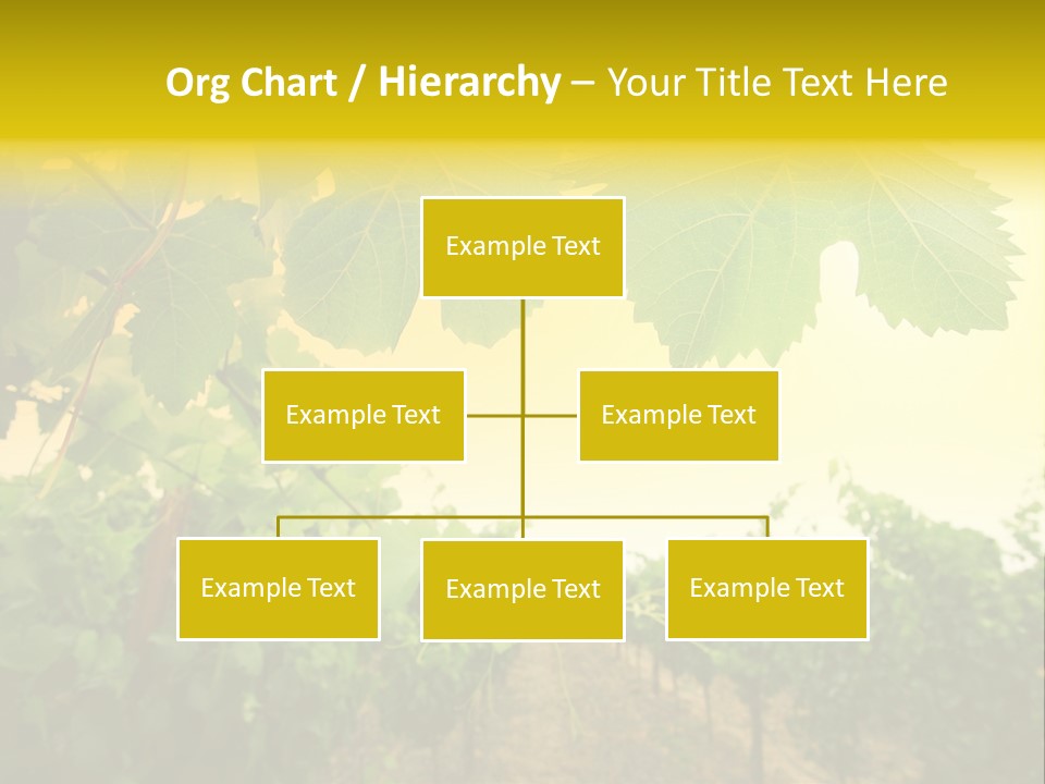Napa Beauty Agriculture PowerPoint Template
