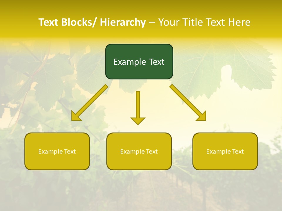 Napa Beauty Agriculture PowerPoint Template
