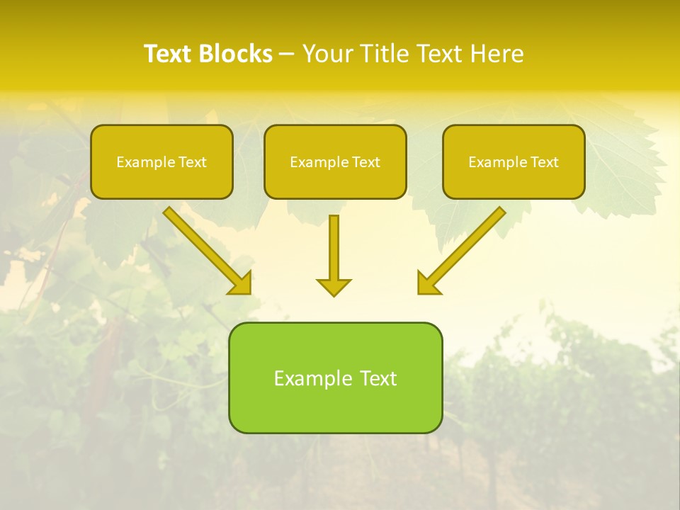 Napa Beauty Agriculture PowerPoint Template