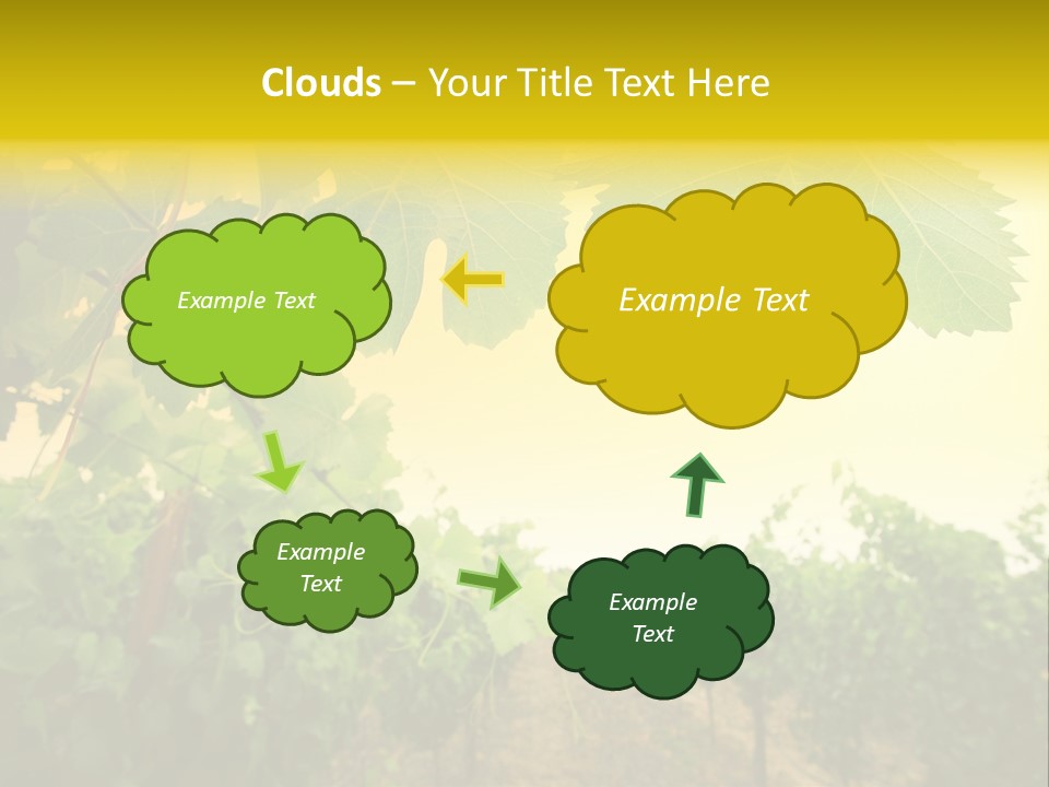 Napa Beauty Agriculture PowerPoint Template