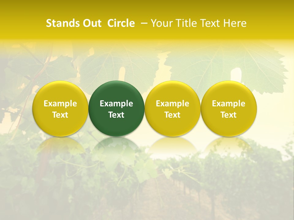 Napa Beauty Agriculture PowerPoint Template