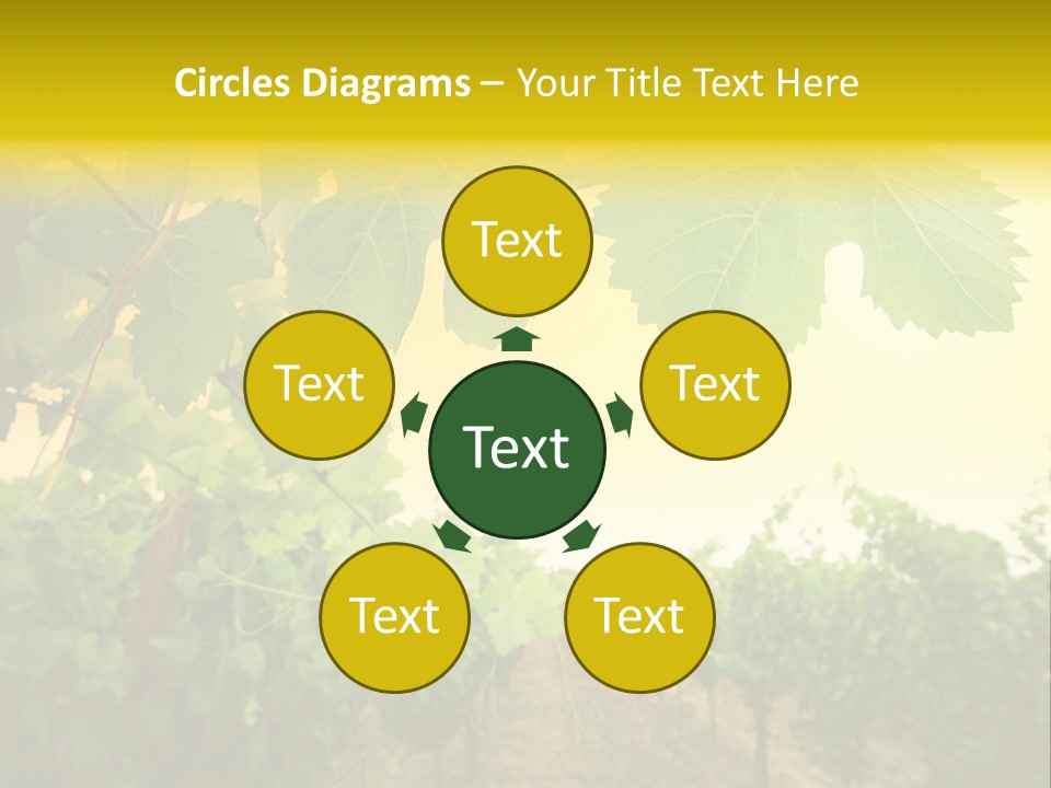 Napa Beauty Agriculture PowerPoint Template